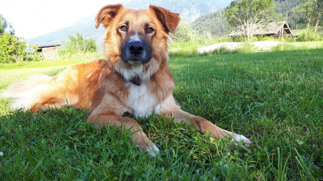 gallery/20180730_183150